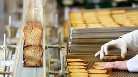  Biscotterie Biscotterie La Chanteracoise nous fait visiter son Implantée en plein coeur du Périgord Blanc, cette biscotterie élabore des biscottes. Dans l'atelier mise en sachet de la 2eme cuisson